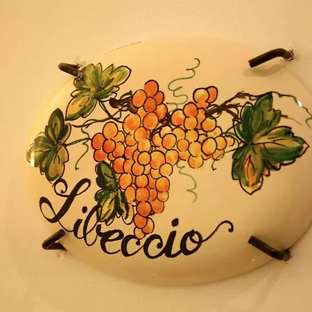 Pugliameraviglia Bed and Breakfast